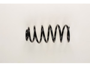 BILSTEIN 36-195893 spyruoklė 
 Pakaba -> Spyruoklės
1J0 411 105 CC