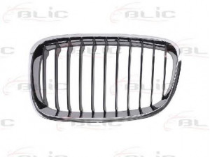BLIC 6502-07-0086991P radiatorius grotelės 
 Kėbulas -> Kėbulo dalys/ sparnas/buferis -> Priekinis aerodinaminio pasipriešinimo sumažinimas/grotelės