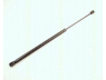 dujinė spyruoklė, bagažinė