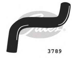 GATES 3789 radiatoriaus žarna
7693039