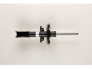 BILSTEIN 22-225269 amortizatorius
543020017R, 543022646R, 543025246R