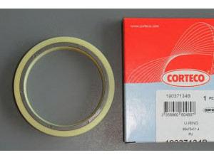 CORTECO 19037134B tarpiklis
24110408C
