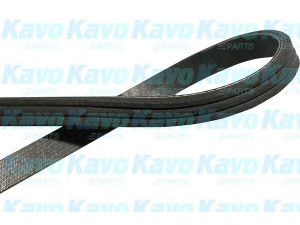 KAVO PARTS DMV-1030 V formos rumbuoti diržai 
 Techninės priežiūros dalys -> Techninės priežiūros intervalai
71739619, AJ0318381, GY0118381