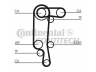 CONTITECH CT957(SET) paskirstymo diržas 
 Techninės priežiūros dalys -> Papildomas remontas
036109119AC, 036109119AG, 036109119AC