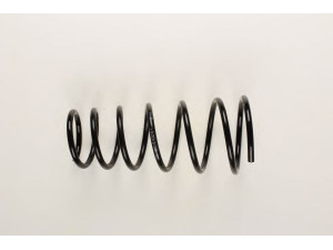 BILSTEIN 36-133468 spyruoklė 
 Pakaba -> Spyruoklės
97 BG 5560 NC