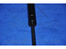 PARTS-MALL PQB-251 dujinė spyruoklė, bagažinė
817701G000