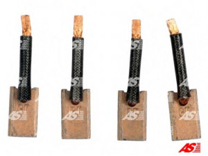 AS-PL SB5025 anglies šepetėlis, starteris
M647C00171, M648D20671