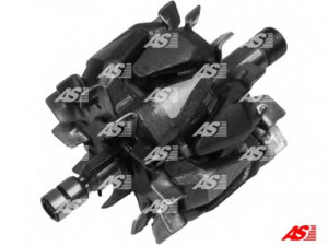 AS-PL AR1002 rotorius, kintamosios srovės generatorius
