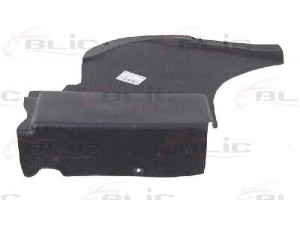 BLIC 6601-02-3541871P variklio dangtis 
 Variklis -> Variklio dangtis
6385241325