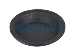 COJALI 6001112 membrana, spyruoklinis cilindras