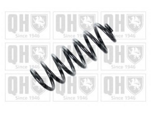 QUINTON HAZELL QCS5695 spyruoklė 
 Pakaba -> Spyruoklės
4D0 511 115 AE