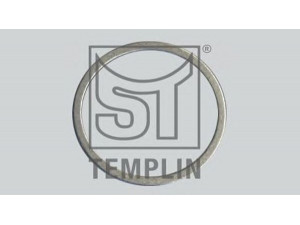 ST-TEMPLIN 14.060.1595.050 veleno sandariklis, rato stebulė
06.56200.0811, 007603 045100
