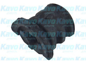 KAVO PARTS SCR-6512 valdymo svirties/išilginių svirčių įvorė 
 Ašies montavimas/vairavimo mechanizmas/ratai -> Valdymo svirtis/pasukamosios svirties sujungimas -> Montavimas/sutvirtinimas
5447941B02, 5447641B02