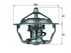 MAHLE ORIGINAL TX 101 83D termostatas, aušinimo skystis 
 Aušinimo sistema -> Termostatas/tarpiklis -> Thermostat
133839, 9616090280, 9616090290