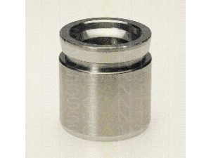 TRISCAN 8170 231585 stūmoklis, stabdžių apkaba