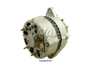 WAIglobal 7429N kintamosios srovės generatorius
3780588, 4489410, 8122449