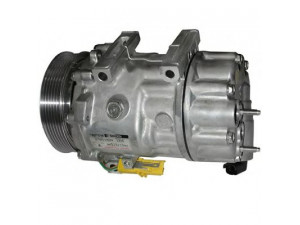 AUTOCLIMA 40405306 kompresorius, oro kondicionierius
6453RV, 6453XL, 6453ZL, 9651911380
