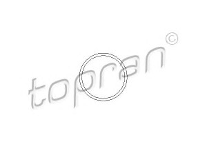 TOPRAN 202 290 tarpiklis, vandens siurblys 
 Variklis -> Tarpikliai -> Sandarikliai, aušinimo sistema
13 34 748, 13 34 754, 90322506
