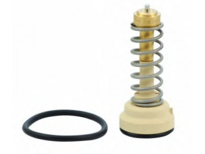 HOFFER 8192648 termostatas, aušinimo skystis 
 Aušinimo sistema -> Termostatas/tarpiklis -> Thermostat
03C121110C, 03C121110F, 03C121110C