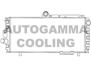 AUTOGAMMA 100001 radiatorius, variklio aušinimas 
 Aušinimo sistema -> Radiatorius/alyvos aušintuvas -> Radiatorius/dalys
0060504387, 60504294, 60504387