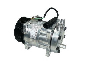 WEBASTO 82D0155813CA kompresorius, oro kondicionierius 
 Oro kondicionavimas -> Kompresorius/dalys
81619066012
