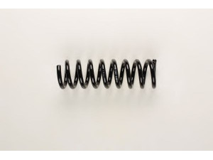 BILSTEIN 36-225927 spyruoklė 
 Pakaba -> Spyruoklės
210 324 32 04