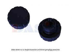 AKS DASIS 750199N radiatoriaus dangtelis
1685010115