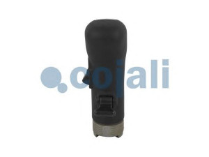COJALI 2880180 pavarų svirties galvelė
1285259