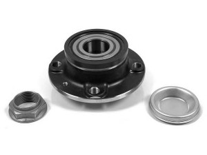 MOOG PE-WB-11407 rato guolio komplektas 
 Ašies montavimas/vairavimo mechanizmas/ratai -> Rato stebulė/montavimas -> Rato guolis
374888, 374888