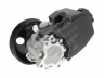 MAPCO 27881 hidraulinis siurblys, vairo sistema 
 Vairavimas -> Vairo pavara/siurblys
002 466 09 01, 002 466 21 01, A002 466 2101