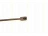 TRISCAN 8710 40220 dujinė spyruoklė, bagažinė 
 Priedai -> Bagažinė/pakrovimo skyrius
74820-S6D-E01, 74820-S6D-E02