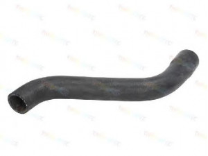 THERMOTEC DWX096TT radiatoriaus žarna 
 Aušinimo sistema -> Žarnelės/vamzdeliai/sujungimai -> Radiatoriaus žarnos
1337193, 90410065, 90444477
