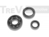 TREVI AUTOMOTIVE WB1510 rato guolio komplektas 
 Ašies montavimas/vairavimo mechanizmas/ratai -> Rato stebulė/montavimas -> Rato guolis