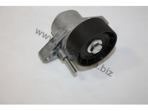 AUTOMEGA 30820006030359 diržo įtempiklis, V formos rumbuotas diržas
8200603359, 8200603359