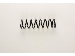 BILSTEIN 36-216727 spyruoklė 
 Pakaba -> Spyruoklės
48231-10350