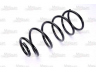 Magnum Technology SW038MT spyruoklė 
 Pakaba -> Spyruoklės
6N0411105E, 6NO411105A