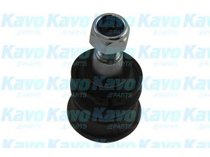 KAVO PARTS SBJ-9094 atramos/vairo trauklė 
 Ašies montavimas/vairavimo mechanizmas/ratai -> Sujungimai -> Atramos/vairo trauklė
4806849045BJ, 4806949045BJ