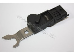 AUTOMEGA 3062380079 jutiklis, skirstomojo veleno padėtis 
 Variklis -> Variklio elektra
6238079, 6238079, 6238079, 90520850