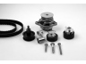 vandens siurblio ir paskirstymo diržo komplektas