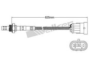 WALKER PRODUCTS 250-241019 lambda jutiklis 
 Variklis -> Variklio elektra
46555846