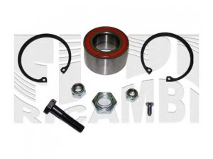 CALIBER RC1018 rato guolio komplektas 
 Ašies montavimas/vairavimo mechanizmas/ratai -> Rato stebulė/montavimas -> Rato guolis
191498625, 6N0498625