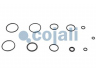 COJALI 6032131 remonto komplektas, sankabos stiprintuvas