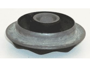 BOGE 87-542-A skersinio stabilizatoriaus įvorių komplektas 
 Ašies montavimas/vairavimo mechanizmas/ratai -> Stabilizatorius/fiksatoriai -> Sklendės
1656752, 6144628, 85GB5493AB, 88GB5493AA