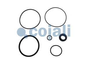 COJALI 6012254 remonto komplektas, greitinimo vožtuvas
