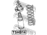 FEBEST TSHB14 apsauginis dangtelis/gofruotoji membrana, amortizatorius 
 Pakaba -> Amortizatorius
51687-SL4-004, 54055-90J13, 55240-50C00