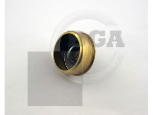 BGA CT5437 termostatas, aušinimo skystis 
 Aušinimo sistema -> Termostatas/tarpiklis -> Thermostat
7700578467, 7701348139