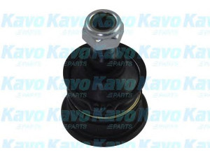 KAVO PARTS SBJ-3036 atramos/vairo trauklė 
 Ašies montavimas/vairavimo mechanizmas/ratai -> Sujungimai -> Atramos/vairo trauklė
545303X000