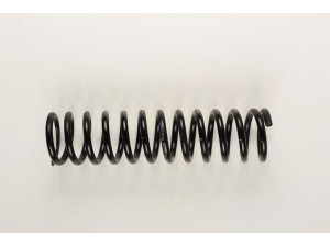 BILSTEIN 36-133789 spyruoklė 
 Pakaba -> Spyruoklės
123 321 37 04