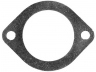 tarpiklis, termostatas