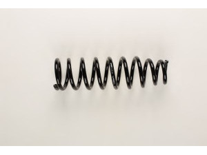 BILSTEIN 36-219056 spyruoklė 
 Pakaba -> Spyruoklės
GJ6G-34-011F